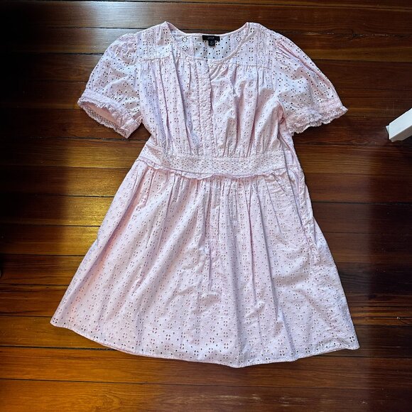 J. Crew Button-front mini dress in eyelet lace in Pink - Picture 3 of 7